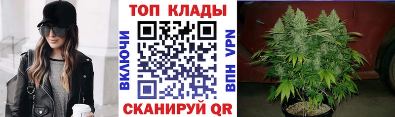 Какие есть наркотики Аша Псилоцибиновые грибы СК ГАШИШ МЕФ КОКАИН Марихуана