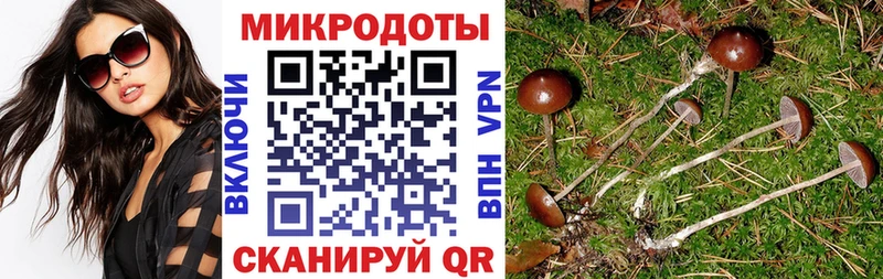 дарнет шоп МЕГА сайт Галлюциногенные грибы Psilocybe Аша