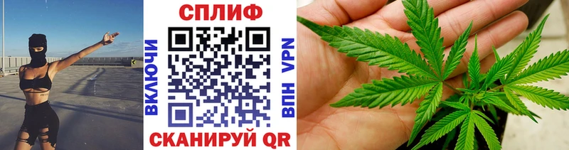 Конопля конопля  mega как зайти  Аша  магазин   